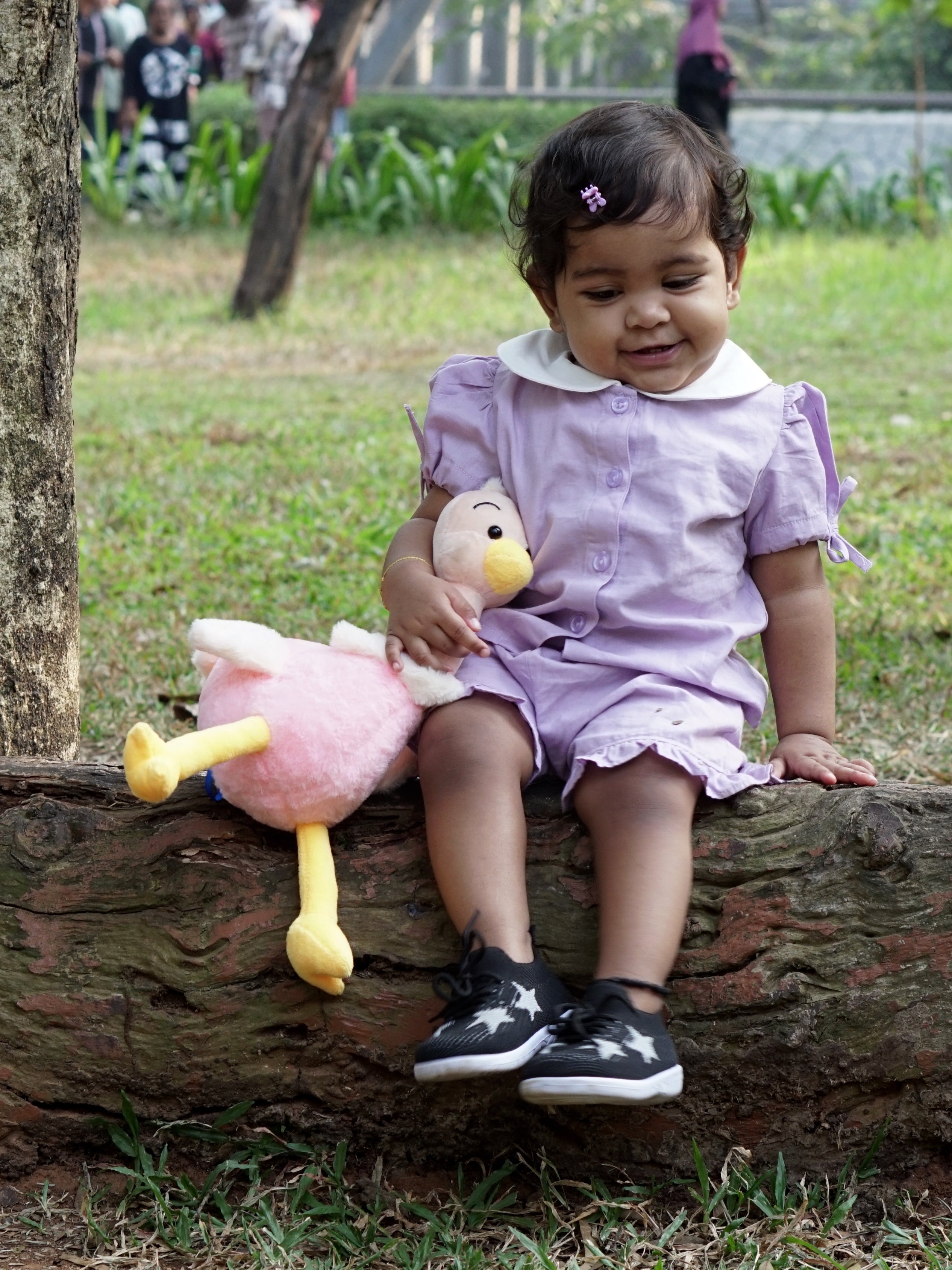 the collared breezy coord